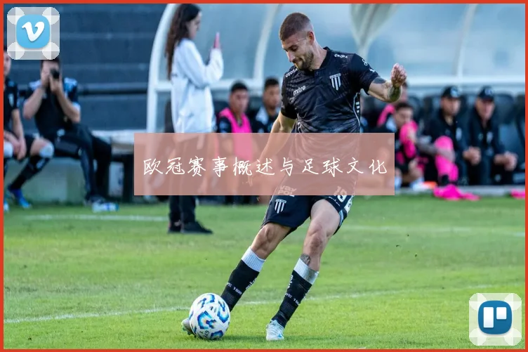 欧冠赛事概述与足球文化