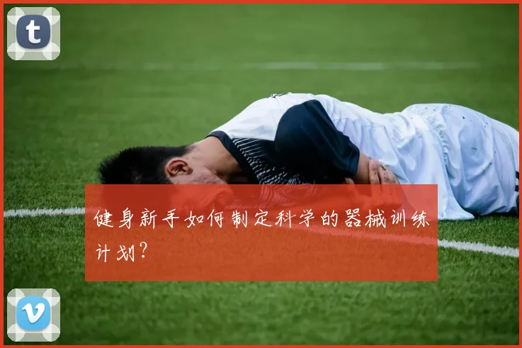 健身新手如何制定科学的器械训练计划？