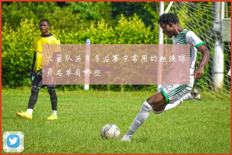 火箭队历年季后赛中常用的轮换球员名单有哪些