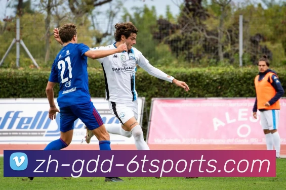 6T体育发展历程