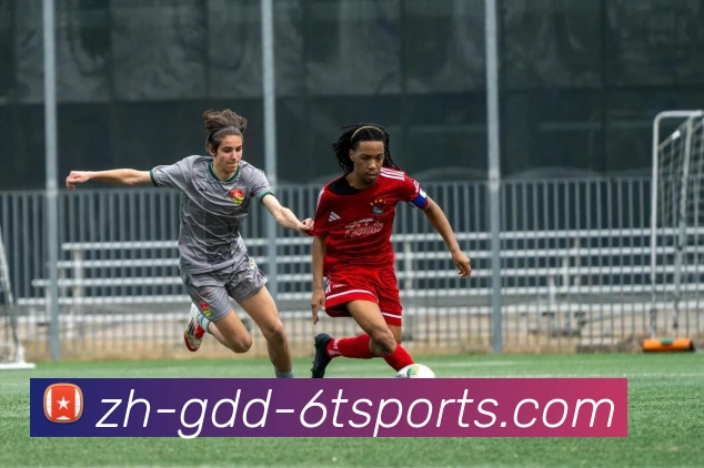 火箭队直播插件安装教程及观看指南